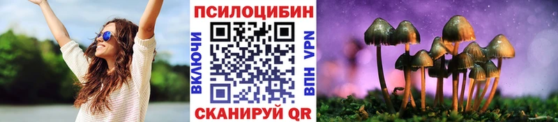 Галлюциногенные грибы GOLDEN TEACHER  закладка  Володарск 